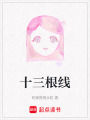 十三根線