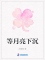 等月亮下沉