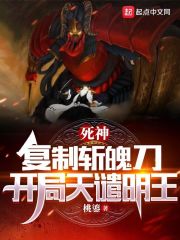 死神：復制斬魄刀，開局天譴明王