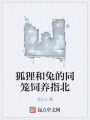 狐貍和兔的同籠飼養(yǎng)指北