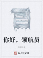 你好，領航員