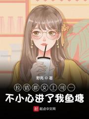 《拉错群女上司一不小心进了我鱼塘陈涯秦云初》小说全文，陈涯秦云初章节大结局