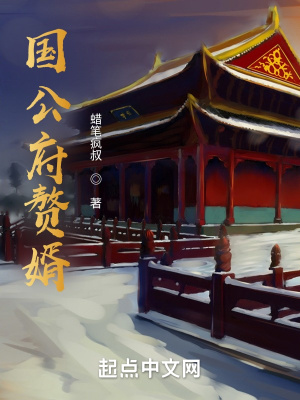國公府贅婿