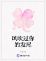 風(fēng)吹過(guò)你的發(fā)尾