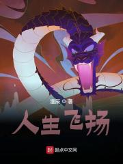 人生飞扬免费阅读（徐岩峰沈诗瑜）小说完结版
