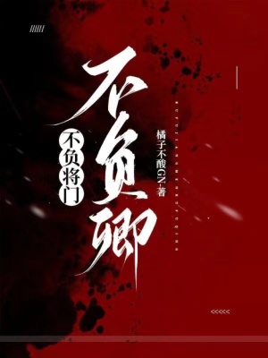 不負將門不負卿