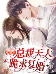 離婚后，總裁天天跪求復(fù)婚
