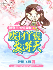 妖孽王爺追妻忙：廢材丫鬟要逆天