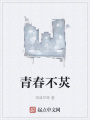 青春不炗