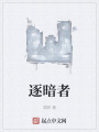逐暗者