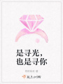 是尋光，也是尋你