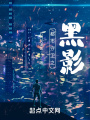 都市守衛之黑影