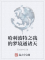 哈利波特之我的夢境通諸天