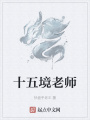 十五境老師