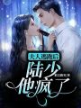 夫人逃跑后，陸少他瘋了