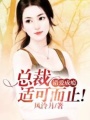 冷少寵妻太過分
