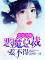 惡魔陸少惹不得