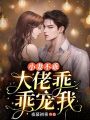 小妻不乖，大佬乖乖寵我