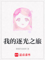 我的逐光之旅