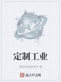 定制工業