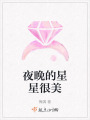 夜晚的星星很美