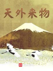在线阅读天外来物时落小说章节目录大结局-胖达文学