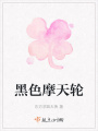 黑色摩天輪