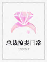 總裁撩妻日常