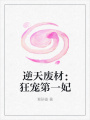逆天廢材：狂寵第一妃