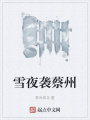 雪夜襲蔡州