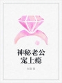 神秘老公寵上癮
