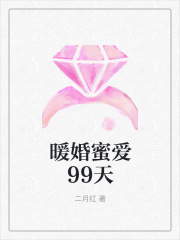 暖婚蜜愛99天