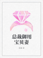 總裁御用寶貝妻