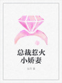 總裁惹火小嬌妻