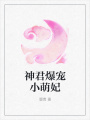 神君爆寵小萌妃