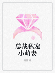 總裁私寵小萌妻