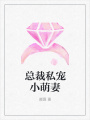 總裁私寵小萌妻