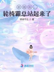 新婚夜，轮椅霸总站起来了全章节免费在线阅读，宋知画郁之廷完结版