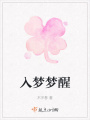 入夢夢醒