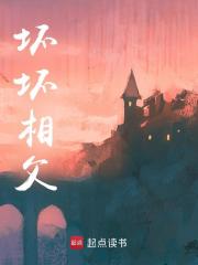 坏坏相父小说，坏坏相父方修秦兴言