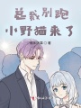 總裁別跑，小野貓來了