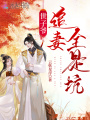 世子爺追妻全是坑