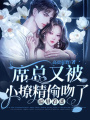 暗里著迷：席總又被小撩精偷吻了