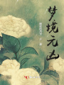 夢(mèng)境元兇