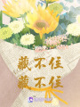 藏不住，藏不住