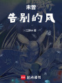 未曾告別的風(fēng)