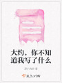 大約，你不知道我寫了什么