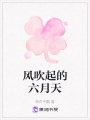 風(fēng)吹起的六月天