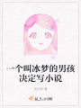 一個叫冰夢的男孩決定寫小說
