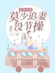 謀婚成癮：莫少追妻沒節操